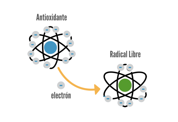 farmacia-salud-anitoxidantes-radicales-libres