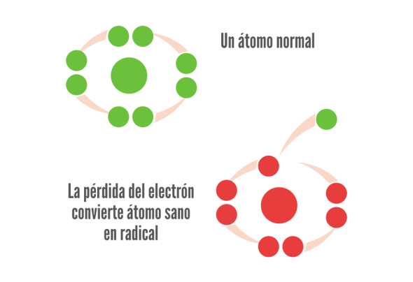 Un atomo normal y la perdida de une electron en radical